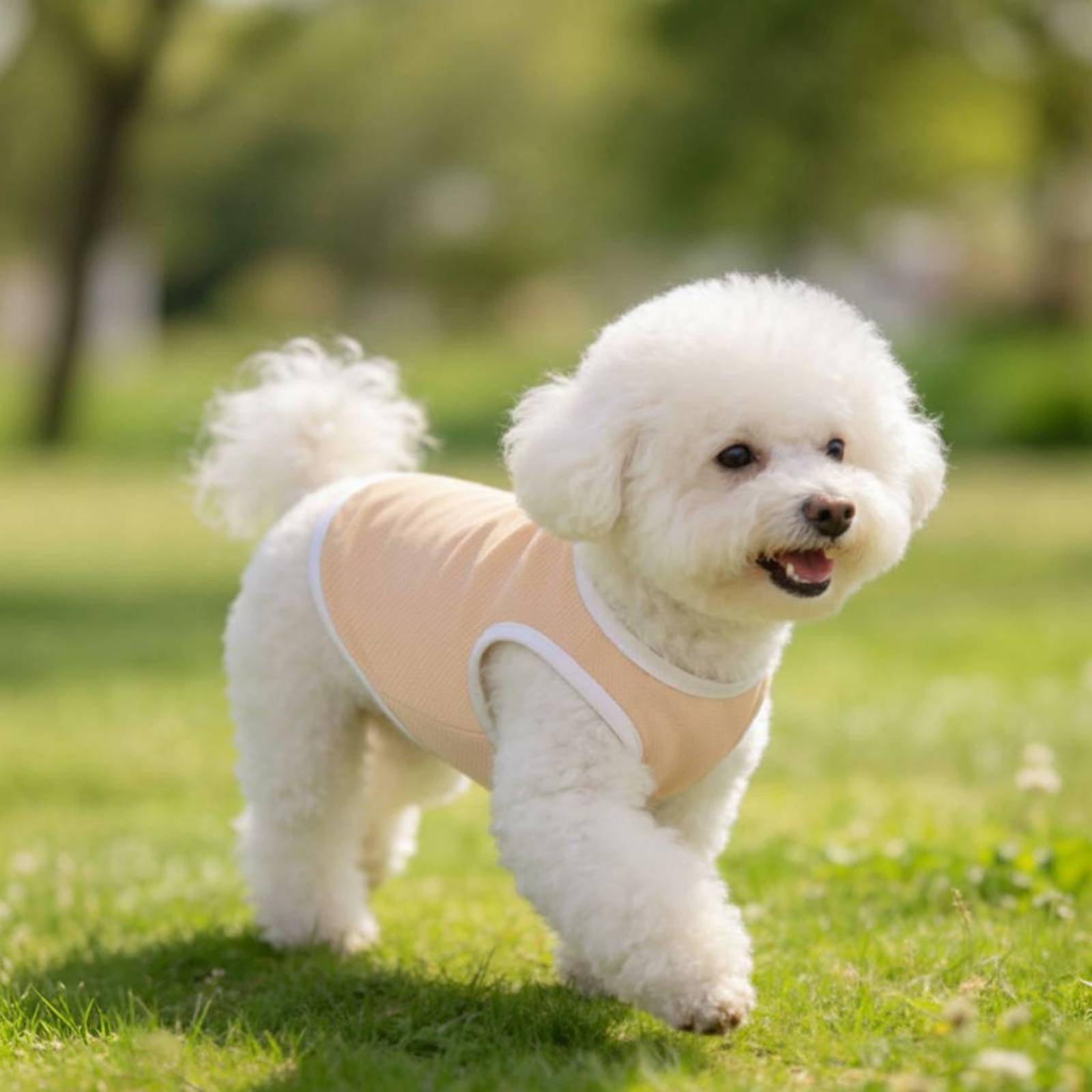 Gilet en maille pour chiens, p - Outdoor Adventure Boys avis et prix